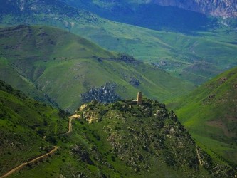 Изображение продукта Горная Дигория